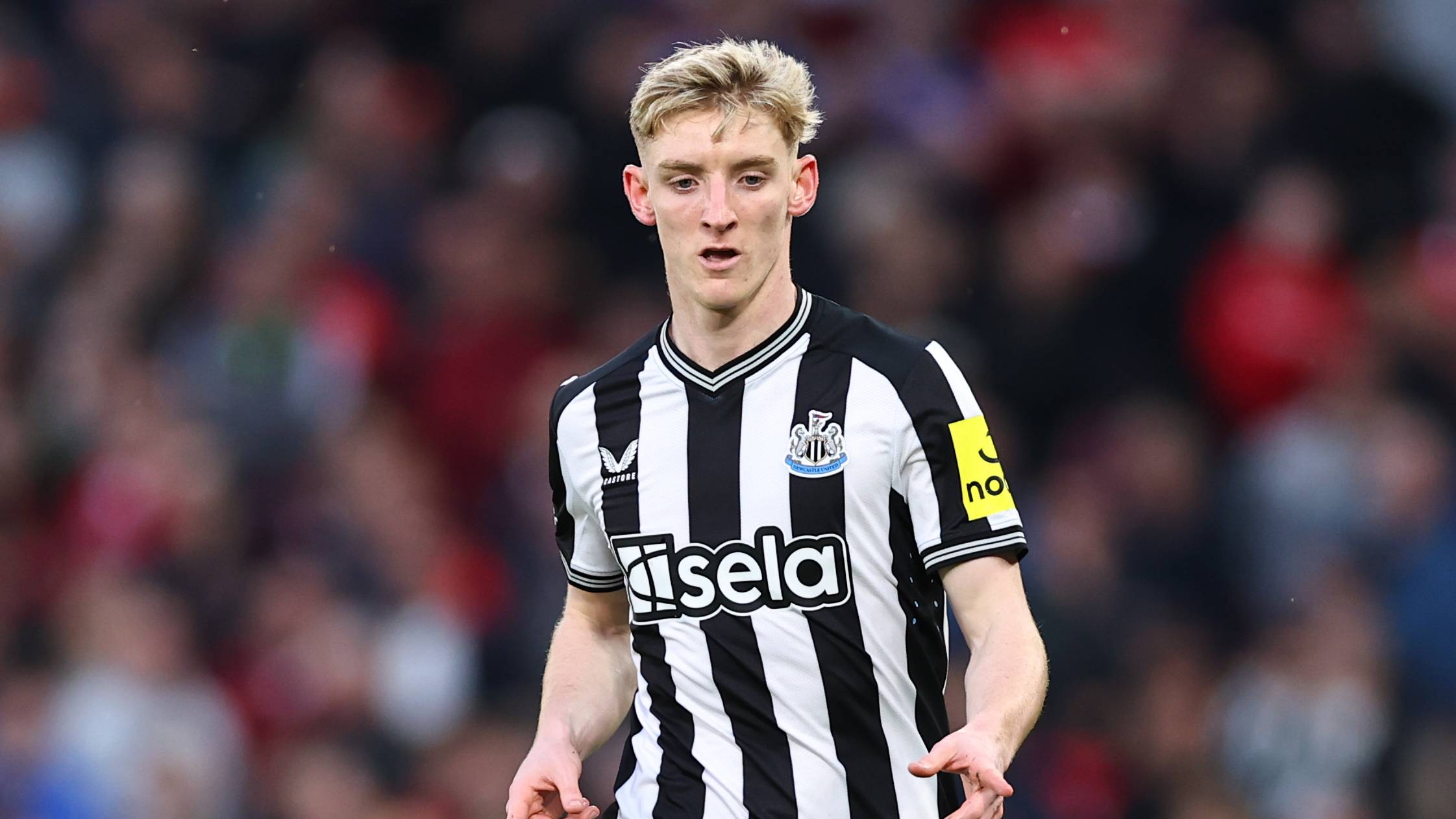 【貴重】リバプールFC 2001 トレブルウィナーズ 12体セット コリンシアン 貴重】リバプールFC 2001 トレブルウィナーズ 12体セット コリンシアン