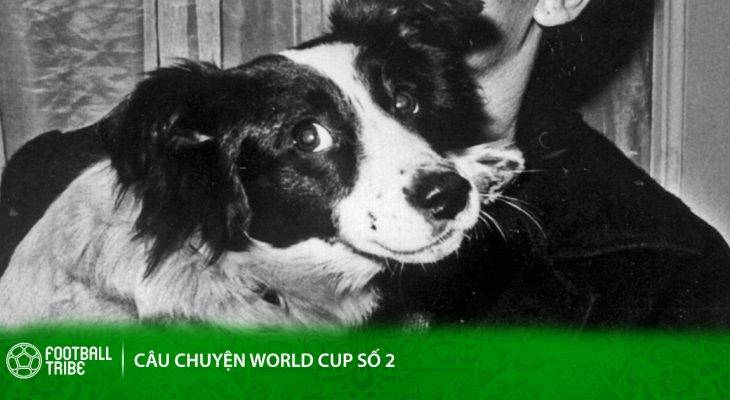 Ký ức World Cup 1966: Chuyện về chú chó cứu cả nước Anh